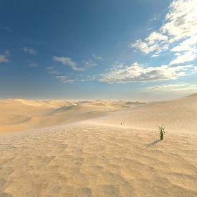 Desert Sahara 3D model